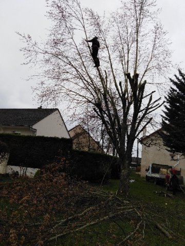 Petit élagage afin de vous sécuriser a MESSIGNY ET VANTOUX