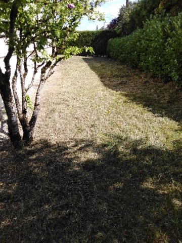 remise  en état et tonte de jardin a DIJON