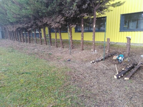 Rabattage d'une haie dans un parc proffessionnel