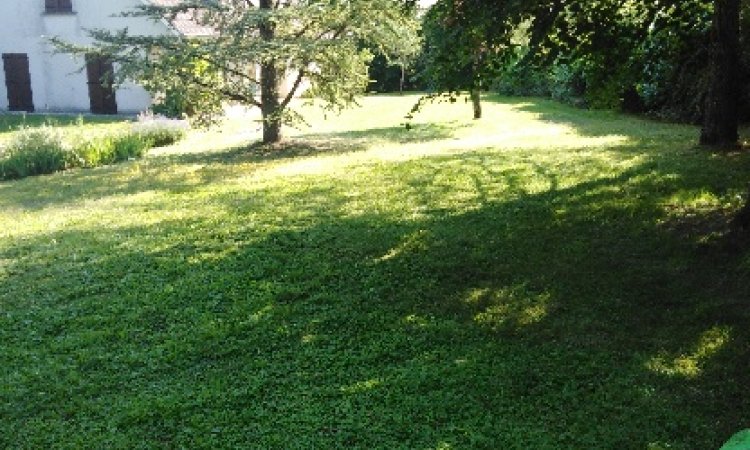 tonte parc réalisé dans la mâtiné