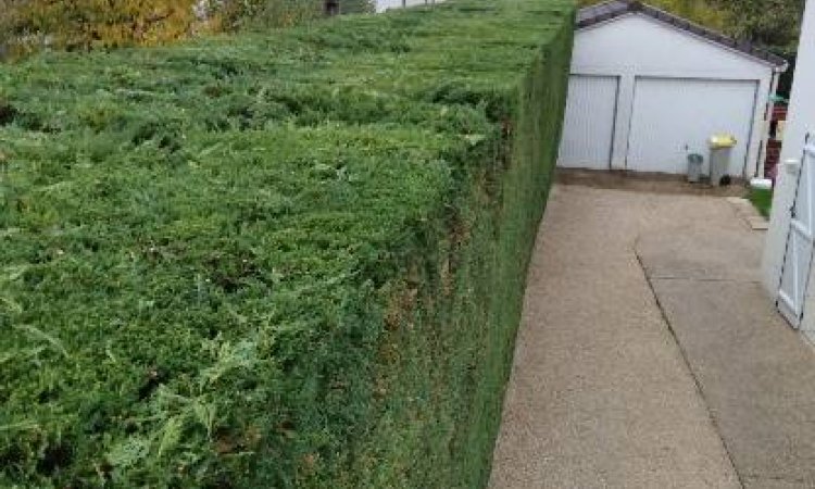 Entretien d'espaces verts - Dijon - Monsieur WILLIAM SAUVARD